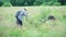 Girl photographer is making photos of a cow in a meadow, view from the half side