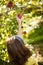 Girl picking an apple