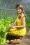 Girl picking lettuce