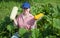 Girl picking marrow in the field