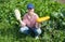 Girl picking marrow in the field