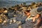 Girl picking up garbage left on a beach in Romania