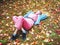 A girl in a pink overalls lies cross-legged on a meadow strewn with autumn leaves