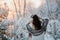 A girl in a plaid and earmuffs is having fun in a fabulous snowy forest.