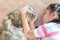 Girl is playing with  brown scottish fold cat