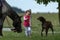 Girl playing with dog and horse, young pretty cute girl with blond curly hair, freedom, joyful, outdoor, spring, healthy, happy ha