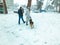 Girl playing with dog on a winter day in the snow. Snowfall. Trees in the snow. Mountain ski resort Bakuriani.