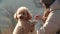 A girl is playing with her smiling toy poodle dog close-up