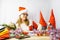 The girl is playing with homemade Christmas gnomes. A girl of 30-35 years old wearing a Santa Claus hat. Handmade Scandinavian