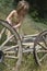 Girl playing on old wagon