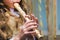 The girl plays the flute, hands close up
