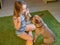 A girl plays with her pet, a French Bulldog dog.