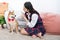 The girl plays with the Shiba Inu dog in the livingroom. Asian women are teaching and training dogs to sit and wait