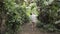 a girl points her finger at a palm tree in the jungle