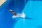 Girl Pool Diving Half Submerged