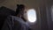 Girl at porthole in the plane. Young woman seating on passenger seat and looking out window on airplane.