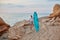 Girl posing with surfboard on coastline. Summer travel and surfing time concept. Sense of adventure and relaxation idea