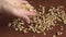 Girl pours a handful of peanuts on the table. CU