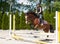 Girl practising horse riding