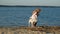 Girl preschool girl  playing with a brown labrador dog on the beach. Spring or cold summer