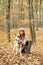 Girl pretty stylish woman walking with husky dog autumn forest. Pedigree dog concept. Best friends. Unconditional love