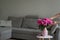 Girl putting bouquet of Blooming Pink peony flowers with green leaves in pink vase on the white table, in the room, grey