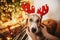 girl putting on cute dog reindeer antlers on background of golden beautiful christmas tree with lights in festive room. doggy wit