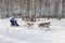 The girl at the races for four dogs of the breed Siberian husky in winter during Husky festival 2019 in Novosibirsk