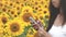 Girl reading a letter in the mail in a smartphone, a summer tour through the countryside in a field of sunflowers