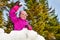 Girl ready to throw snowball in forest