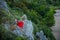 A girl in a red dress with a long train among rocks and cliffs in the mountains overlooking the coast. .