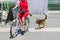 The girl in a red dress rides a bike with a dog on a leash. Walk around the city on a bicycle and with a dog