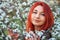 The girl with red hair inhales the fragrance of the flowers of the tree. Outdoor. Spring