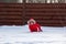 Girl in red jacket creeps through the snow