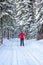 A girl in a red jacket goes skiing in a snowy forest in winter