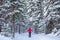 A girl in a red jacket goes skiing in a snowy forest in winter