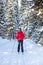 A girl in a red jacket goes skiing in a snowy forest in winter