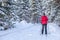 A girl in a red jacket goes skiing in a snowy forest in winter