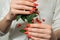 girl with red nails holding a green twig with berries in her hand