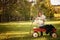 Girl with red wagon of stuffed bear toys