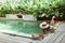 Girl relaxing and eating fruits in the pool on luxury villa in Bali