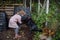 Girl removing compost from a composter in the garden. Concept of composting and sustainable organic gardening.