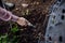 Girl removing compost from a composter in the garden. Concept of composting and sustainable organic gardening.