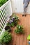 Girl replanting purple viola on the outdoor apartment balcony