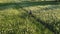 Girl ride bike at green grass meadow. Rural nature landscape Active sport recreation. Blossom flower