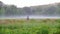 Girl rider rides on the field on a horse early in the morning, all around the fog