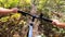 Girl rides bicycle through forest. Girl rides bike along path in forest