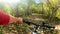 Girl rides bicycle through forest. Girl rides bike along path in forest