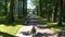 Girl rides a bicycle on the road in the park. Aerial view of a beautiful alley with tall green trees.