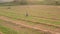 Girl rides a bicycle on a rural field in the evening before a sunny sunset. rows of harvested wheat on field